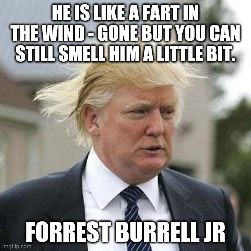 Donald Trump | HE IS LIKE A FART IN THE WIND - GONE BUT YOU CAN STILL SMELL HIM A LITTLE BIT. FORREST BURRELL JR | image tagged in donald trump | made w/ Imgflip meme maker
