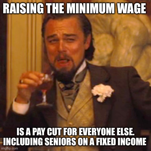 Laughing Leo Meme | RAISING THE MINIMUM WAGE IS A PAY CUT FOR EVERYONE ELSE. INCLUDING SENIORS ON A FIXED INCOME | image tagged in memes,laughing leo | made w/ Imgflip meme maker