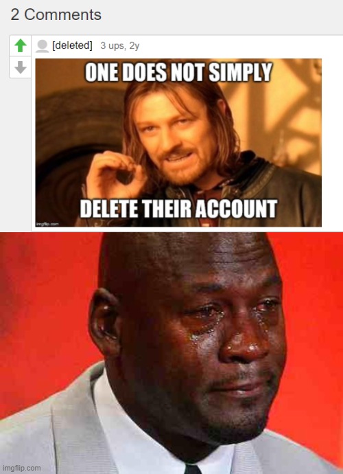 R.I.P. | image tagged in crying michael jordan,memes,deleted,imgflip users,delete,sad | made w/ Imgflip meme maker