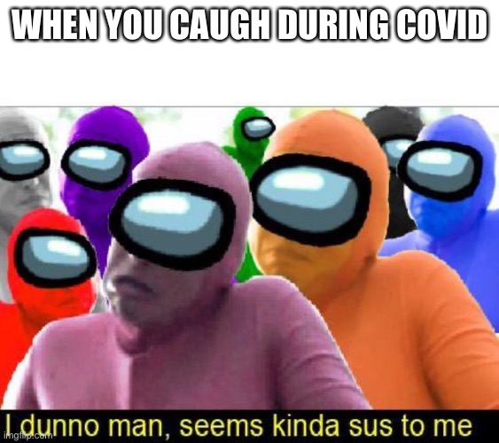 Sus sus aaaaaaaand sus | WHEN YOU COUGH  DURING COVID | image tagged in seems kinda sus to me | made w/ Imgflip meme maker