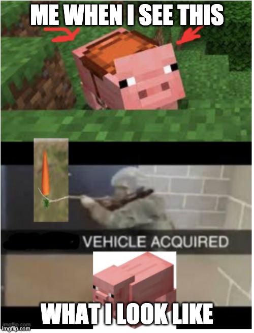 VEHICLE ACQUIRED | ME WHEN I SEE THIS; WHAT I LOOK LIKE | image tagged in modern warfare,call of duty,funny,funny memes,memes,gaming | made w/ Imgflip meme maker