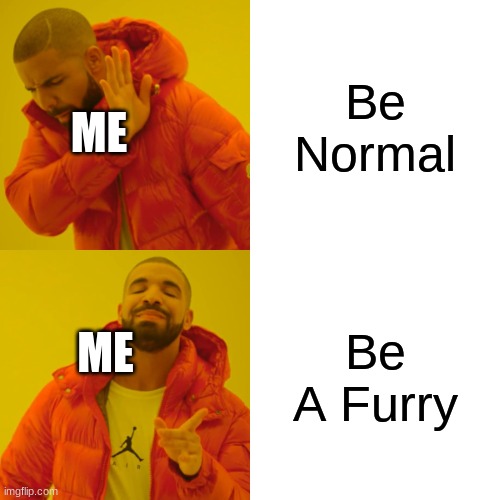 Drake Hotline Bling | Be Normal; ME; Be A Furry; ME | image tagged in memes,drake hotline bling | made w/ Imgflip meme maker