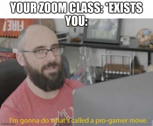 Pro Gamer move | YOUR ZOOM CLASS: *EXISTS
YOU: | image tagged in pro gamer move | made w/ Imgflip meme maker