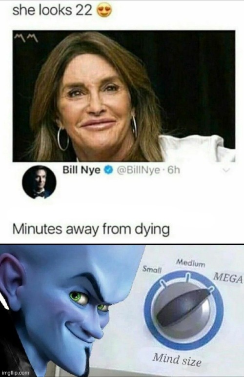 *WHEEZE* | image tagged in lol,big brain time,memes,insults,funny,roasted | made w/ Imgflip meme maker