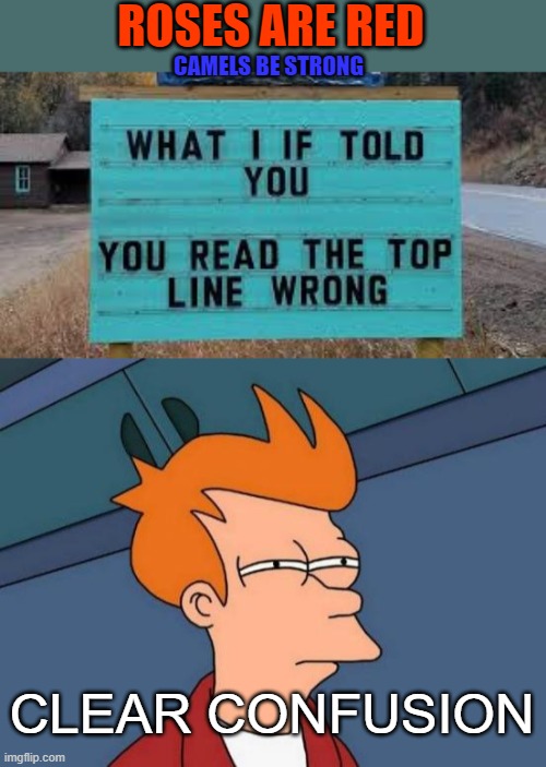 Brain hurt...... | ROSES ARE RED; CAMELS BE STRONG; CLEAR CONFUSION | image tagged in memes,futurama fry | made w/ Imgflip meme maker