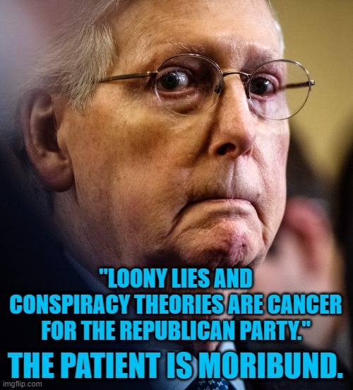 A Moment Of Clarity. | "LOONY LIES AND CONSPIRACY THEORIES ARE CANCER FOR THE REPUBLICAN PARTY."; THE PATIENT IS MORIBUND. | image tagged in politics | made w/ Imgflip meme maker