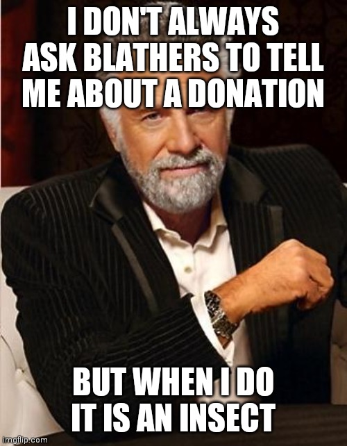 Blathers | I DON'T ALWAYS ASK BLATHERS TO TELL ME ABOUT A DONATION; BUT WHEN I DO IT IS AN INSECT | image tagged in i don't always,animal crossing | made w/ Imgflip meme maker