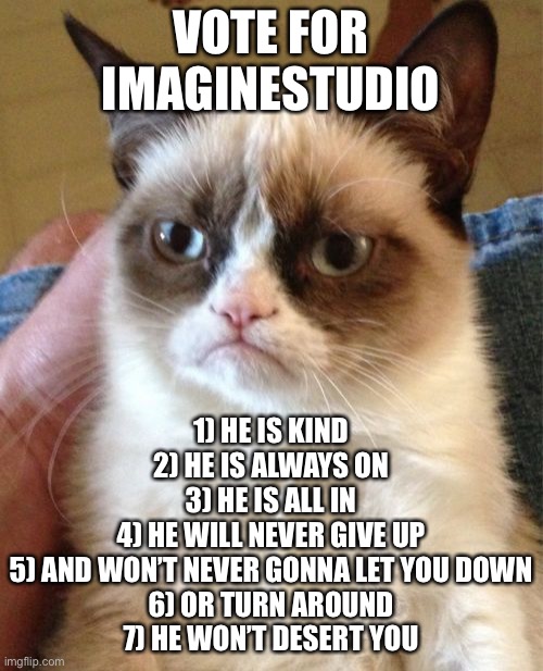 Vote For ImagineStudio for President | Approved by ImagineStudio | VOTE FOR IMAGINESTUDIO; 1) HE IS KIND
2) HE IS ALWAYS ON
3) HE IS ALL IN
4) HE WILL NEVER GIVE UP
5) AND WON’T NEVER GONNA LET YOU DOWN
6) OR TURN AROUND
7) HE WON’T DESERT YOU | image tagged in memes,grumpy cat | made w/ Imgflip meme maker