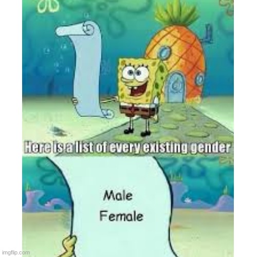 2 genders only | image tagged in 2 genders | made w/ Imgflip meme maker