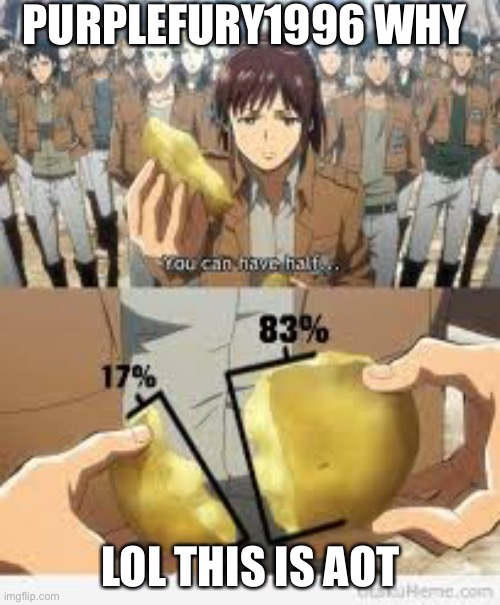Aot memes | PURPLEFURY1996 WHY LOL THIS IS AOT | image tagged in aot memes | made w/ Imgflip meme maker