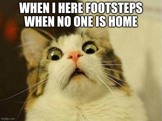 Scared Cat Meme | WHEN I HERE FOOTSTEPS WHEN NO ONE IS HOME | image tagged in memes,scared cat | made w/ Imgflip meme maker