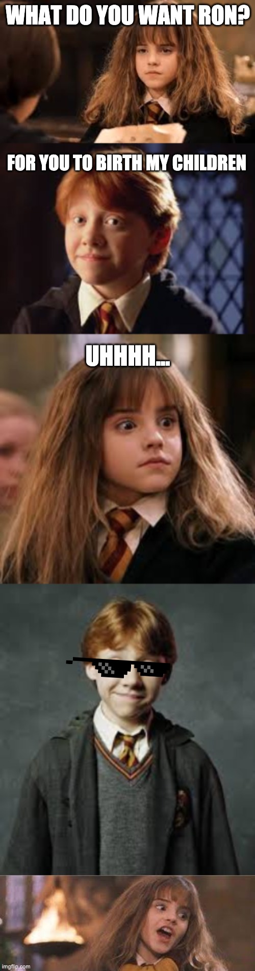 Now who needs to sort out their priorities? | WHAT DO YOU WANT RON? FOR YOU TO BIRTH MY CHILDREN; UHHHH... | image tagged in ron weasley,hermione granger,deal with it | made w/ Imgflip meme maker