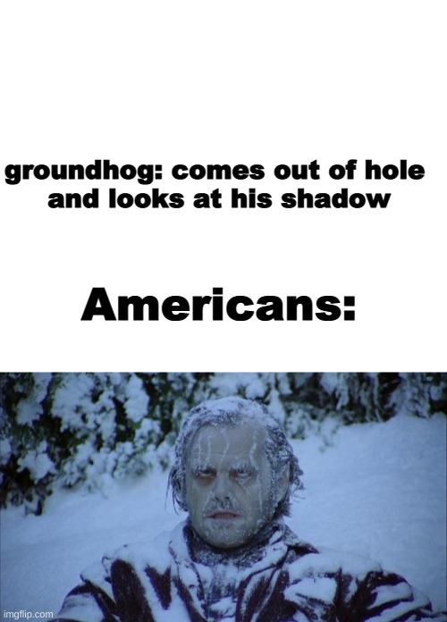 Groundhog Day | groundhog: comes out of hole 
and looks at his shadow; Americans: | image tagged in cold | made w/ Imgflip meme maker