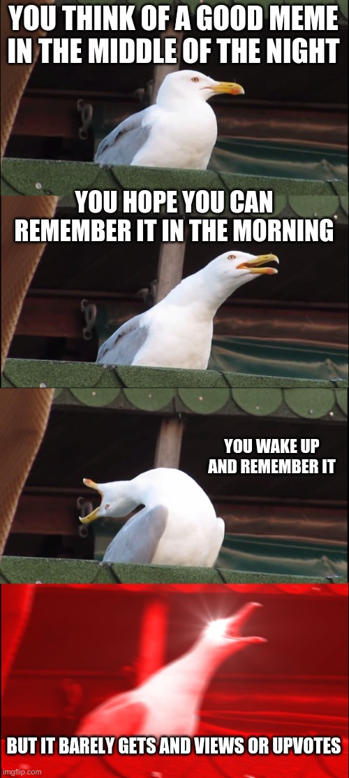nani | YOU THINK OF A GOOD MEME IN THE MIDDLE OF THE NIGHT; YOU HOPE YOU CAN REMEMBER IT IN THE MORNING; YOU WAKE UP AND REMEMBER IT; BUT IT BARELY GETS AND VIEWS OR UPVOTES | image tagged in memes,inhaling seagull,memory,views,upvotes | made w/ Imgflip meme maker