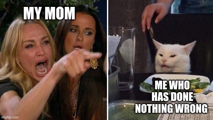 Angry lady cat | MY MOM; ME WHO HAS DONE NOTHING WRONG | image tagged in angry lady cat | made w/ Imgflip meme maker