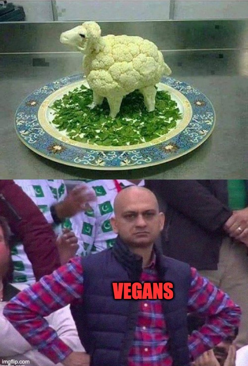 How to confuse a vegan : | VEGANS | image tagged in vegans,confused screaming,angry man,memes | made w/ Imgflip meme maker