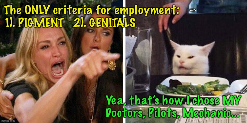 Smudge the cat | The ONLY criteria for employment:
1). PIGMENT   2). GENITALS; MRA; Yea, that’s how I chose MY 
Doctors, Pilots, Mechanic... | image tagged in smudge the cat | made w/ Imgflip meme maker
