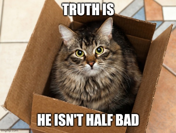 Schrodinger Magician | TRUTH IS HE ISN'T HALF BAD | image tagged in schrodinger magician | made w/ Imgflip meme maker