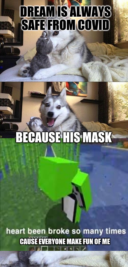 Bad Pun Dog |  DREAM IS ALWAYS SAFE FROM COVID; BECAUSE HIS MASK; CAUSE EVERYONE MAKE FUN OF ME | image tagged in memes,bad pun dog,sad,dream | made w/ Imgflip meme maker