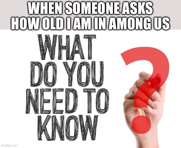 They just dont need to know | WHEN SOMEONE ASKS HOW OLD I AM IN AMONG US | image tagged in why do you need to know | made w/ Imgflip meme maker