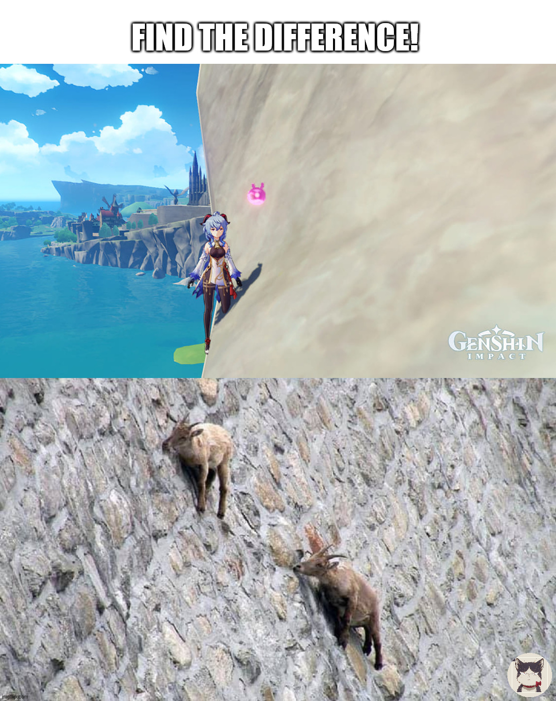 Find the difference! | FIND THE DIFFERENCE! | image tagged in genshin impact | made w/ Imgflip meme maker
