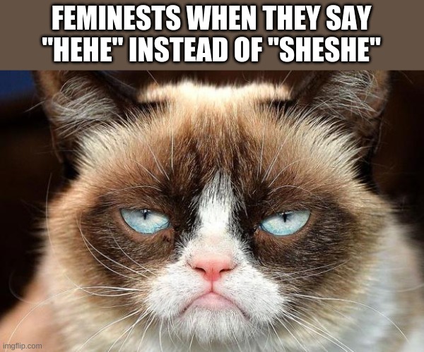 Grumpy Cat Not Amused Meme | FEMINESTS WHEN THEY SAY "HEHE" INSTEAD OF "SHESHE" | image tagged in memes,grumpy cat not amused,grumpy cat | made w/ Imgflip meme maker