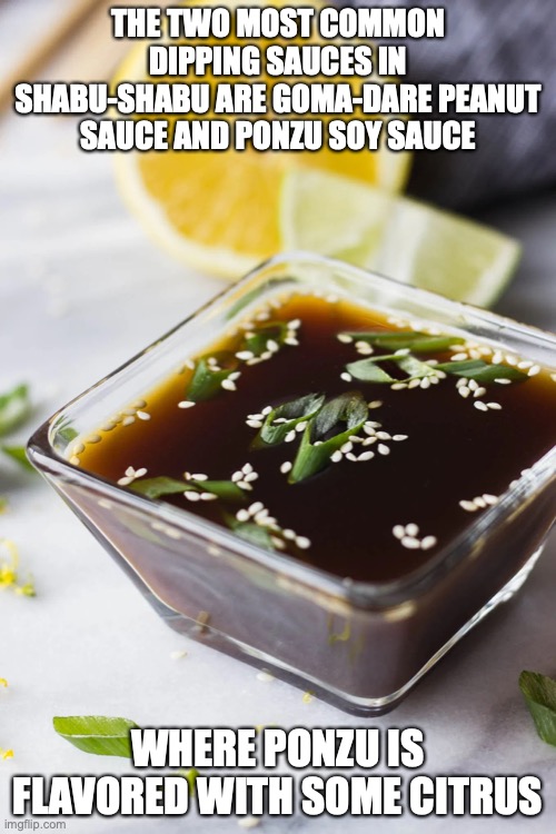 Ponzu | THE TWO MOST COMMON DIPPING SAUCES IN SHABU-SHABU ARE GOMA-DARE PEANUT SAUCE AND PONZU SOY SAUCE; WHERE PONZU IS FLAVORED WITH SOME CITRUS | image tagged in memes,sauce | made w/ Imgflip meme maker