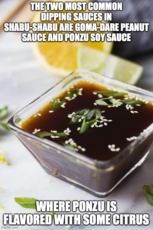 Ponzu Imgflip