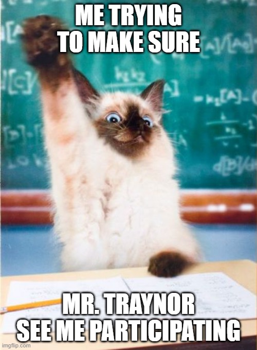 conphy | ME TRYING TO MAKE SURE; MR. TRAYNOR SEE ME PARTICIPATING | image tagged in overeager student cat | made w/ Imgflip meme maker