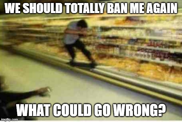 I say nothing can go wrong | WE SHOULD TOTALLY BAN ME AGAIN; WHAT COULD GO WRONG? | made w/ Imgflip meme maker