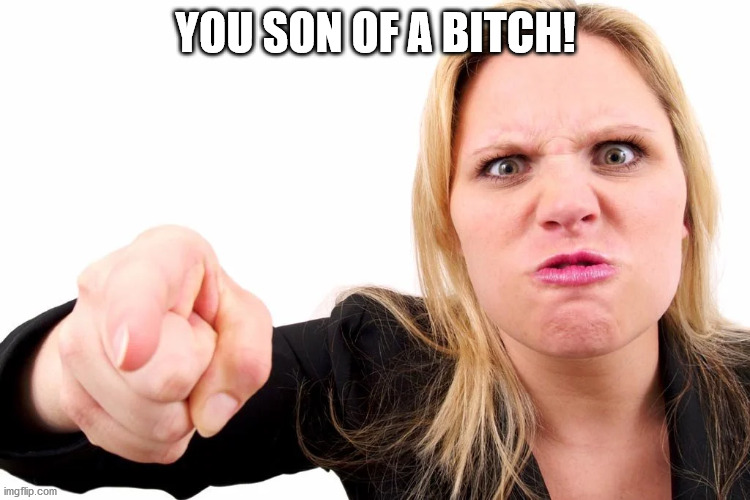 Offended woman | YOU SON OF A BITCH! | image tagged in offended woman | made w/ Imgflip meme maker