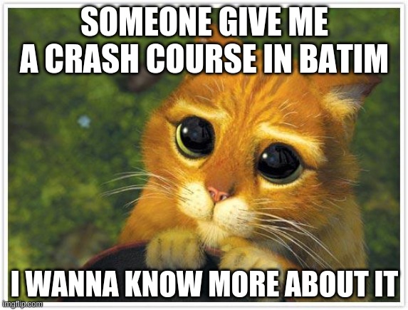 Shrek Cat Meme | SOMEONE GIVE ME A CRASH COURSE IN BATIM; I WANNA KNOW MORE ABOUT IT | image tagged in memes,shrek cat | made w/ Imgflip meme maker
