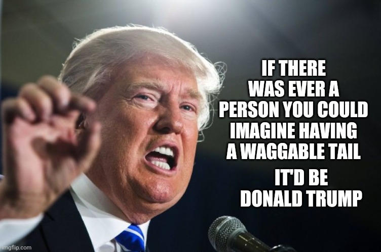 I Think That's Why He Stands So Awkwardly | IF THERE WAS EVER A PERSON YOU COULD IMAGINE HAVING A WAGGABLE TAIL; IT'D BE DONALD TRUMP | image tagged in donald trump,lol,memes,trump unfit unqualified dangerous,trump lies,wag the dog | made w/ Imgflip meme maker