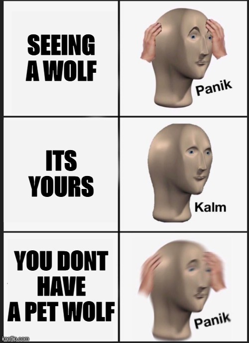 WOOF WOOF | SEEING A WOLF; ITS YOURS; YOU DONT HAVE A PET WOLF | image tagged in memes,panik kalm panik | made w/ Imgflip meme maker