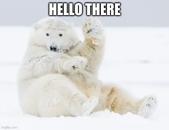 Hello There | HELLO THERE | image tagged in polar bear,hello,memes,snow | made w/ Imgflip meme maker