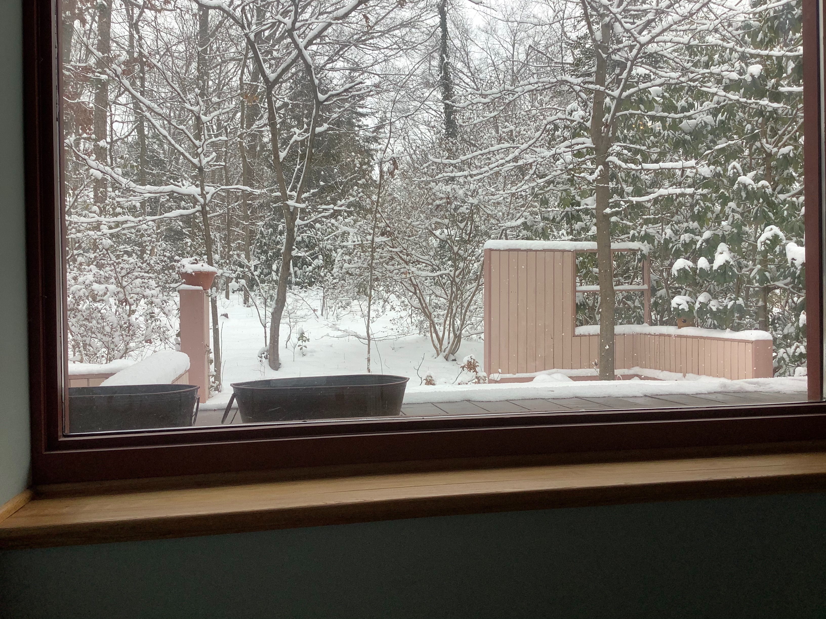 Real snowy outside | image tagged in snow | made w/ Imgflip meme maker