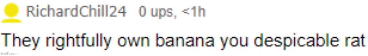 despicable rat! HILARoIUS! | image tagged in oh my god spice is a hell of a drug | made w/ Imgflip meme maker