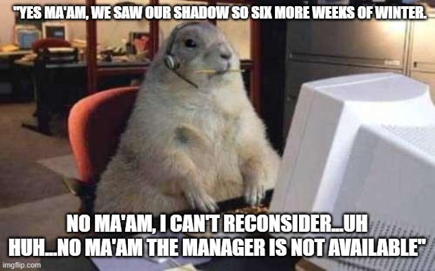 No Ma'am the Manager is Not Available... | "YES MA'AM, WE SAW OUR SHADOW SO SIX MORE WEEKS OF WINTER. NO MA'AM, I CAN'T RECONSIDER...UH HUH...NO MA'AM THE MANAGER IS NOT AVAILABLE" | image tagged in working groundhog | made w/ Imgflip meme maker