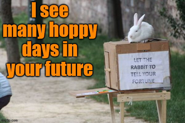 I see many hoppy days in your future | image tagged in bunnies | made w/ Imgflip meme maker