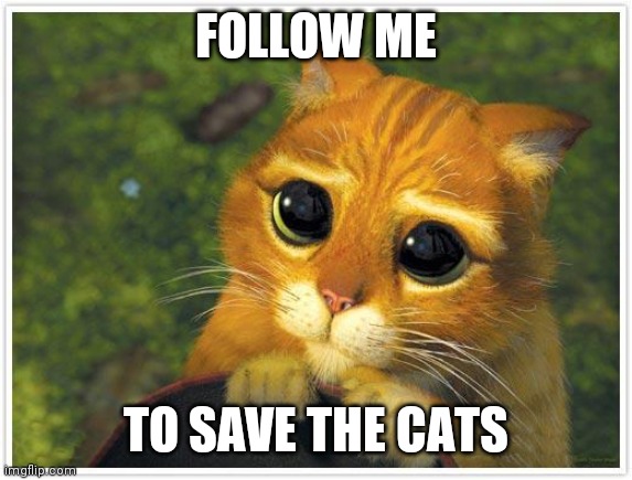 Please.......... | FOLLOW ME; TO SAVE THE CATS | image tagged in memes,shrek cat | made w/ Imgflip meme maker