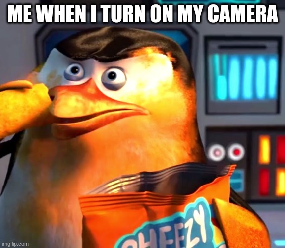 ME WHEN I TURN ON MY CAMERA | image tagged in camera,penguins of madagascar,penguins | made w/ Imgflip meme maker