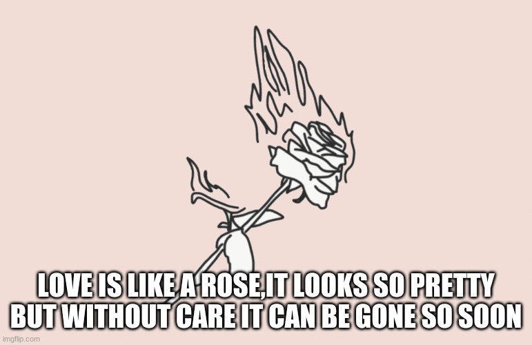 LOVE IS LIKE A ROSE,IT LOOKS SO PRETTY BUT WITHOUT CARE IT CAN BE GONE SO SOON | made w/ Imgflip meme maker
