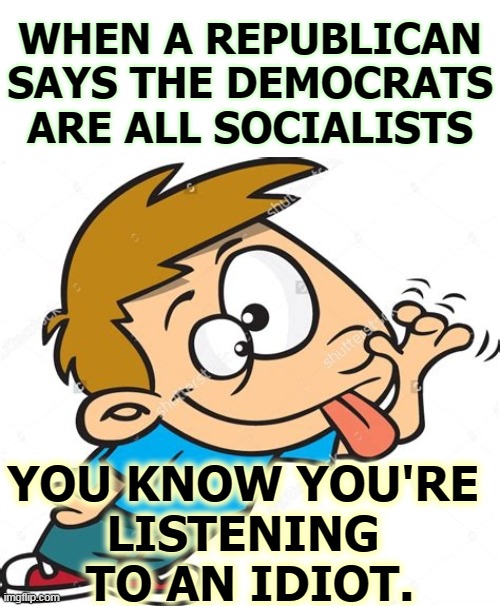 Democrats aren't socialists. They're grownups. | WHEN A REPUBLICAN SAYS THE DEMOCRATS ARE ALL SOCIALISTS; YOU KNOW YOU'RE 
LISTENING 
TO AN IDIOT. | image tagged in republicans,fools,democrats,adults | made w/ Imgflip meme maker