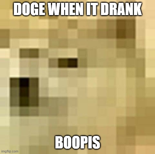 Blurry Doge | DOGE WHEN IT DRANK; BOOPIS | image tagged in blurry doge,boopis | made w/ Imgflip meme maker
