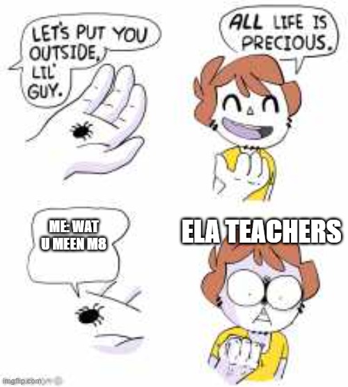 Eh, what can i say? | ELA TEACHERS; ME: WAT U MEEN M8 | image tagged in all life is precious | made w/ Imgflip meme maker
