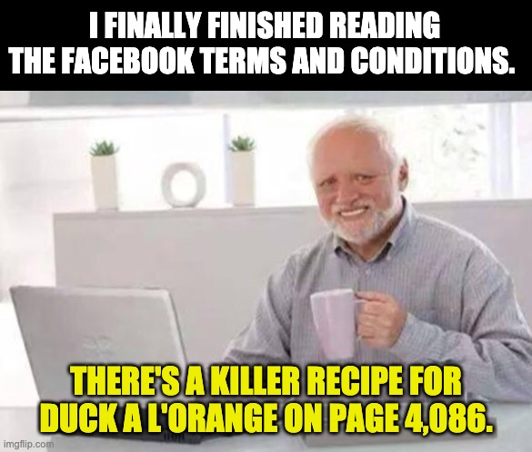 Terms and Conditions | I FINALLY FINISHED READING THE FACEBOOK TERMS AND CONDITIONS. THERE'S A KILLER RECIPE FOR DUCK A L'ORANGE ON PAGE 4,086. | image tagged in harold | made w/ Imgflip meme maker