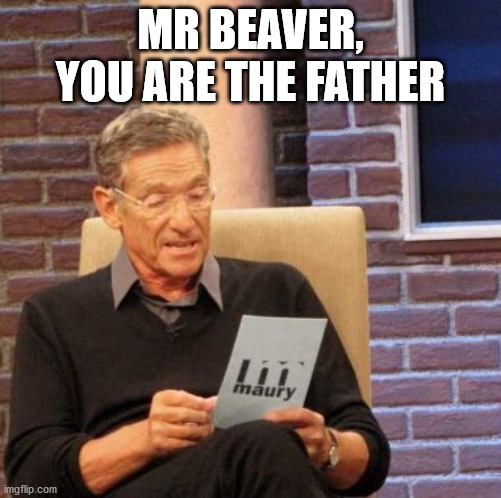 Maury Lie Detector Meme | MR BEAVER, YOU ARE THE FATHER | image tagged in memes,maury lie detector | made w/ Imgflip meme maker