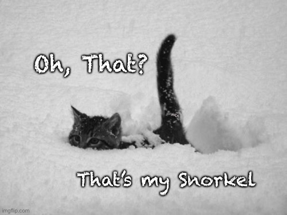 Snow Cat | Oh, That? MRA; That’s my Snorkel | image tagged in snow cat | made w/ Imgflip meme maker