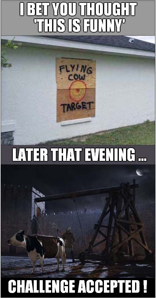 Cow Via Trebuchet Challenge ! | I BET YOU THOUGHT  'THIS IS FUNNY'; LATER THAT EVENING …; CHALLENGE ACCEPTED ! | image tagged in fun,stupid signs,cows,trebuchet | made w/ Imgflip meme maker