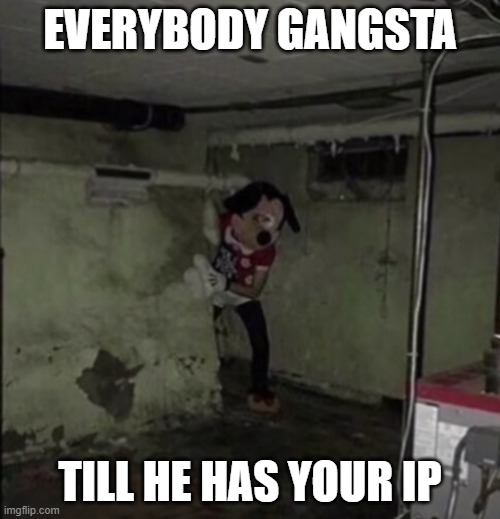 He has your ip | EVERYBODY GANGSTA; TILL HE HAS YOUR IP | image tagged in funny | made w/ Imgflip meme maker